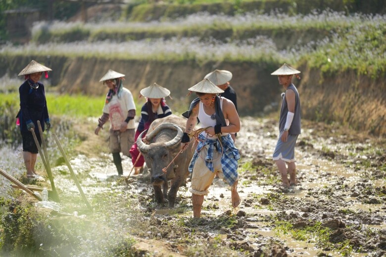 “Gia đình HaHa” mang lại những hình ảnh bình yên, xinh đẹp của các tỉnh thành.