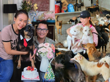 2 sao nữ Vbiz cưu mang chó mèo hoang: Người xây trang trại 1000m2 làm nơi ở, người mang đầy vết thương 