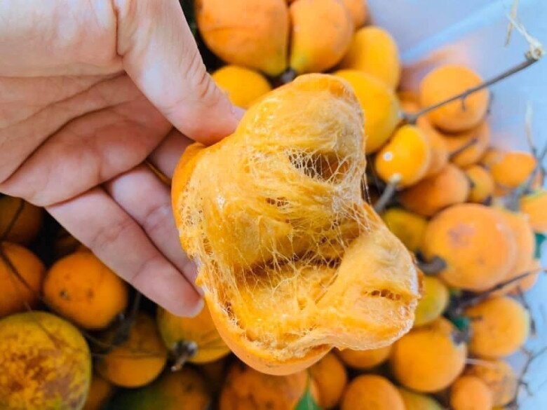 Loại quả xưa rụng thối gốc không ai nhặt, giá rẻ như cho nay thành đặc sản thành phố, 150.000 đồng/kg vẫn amp;#34;cháy hàngamp;#34; - 4