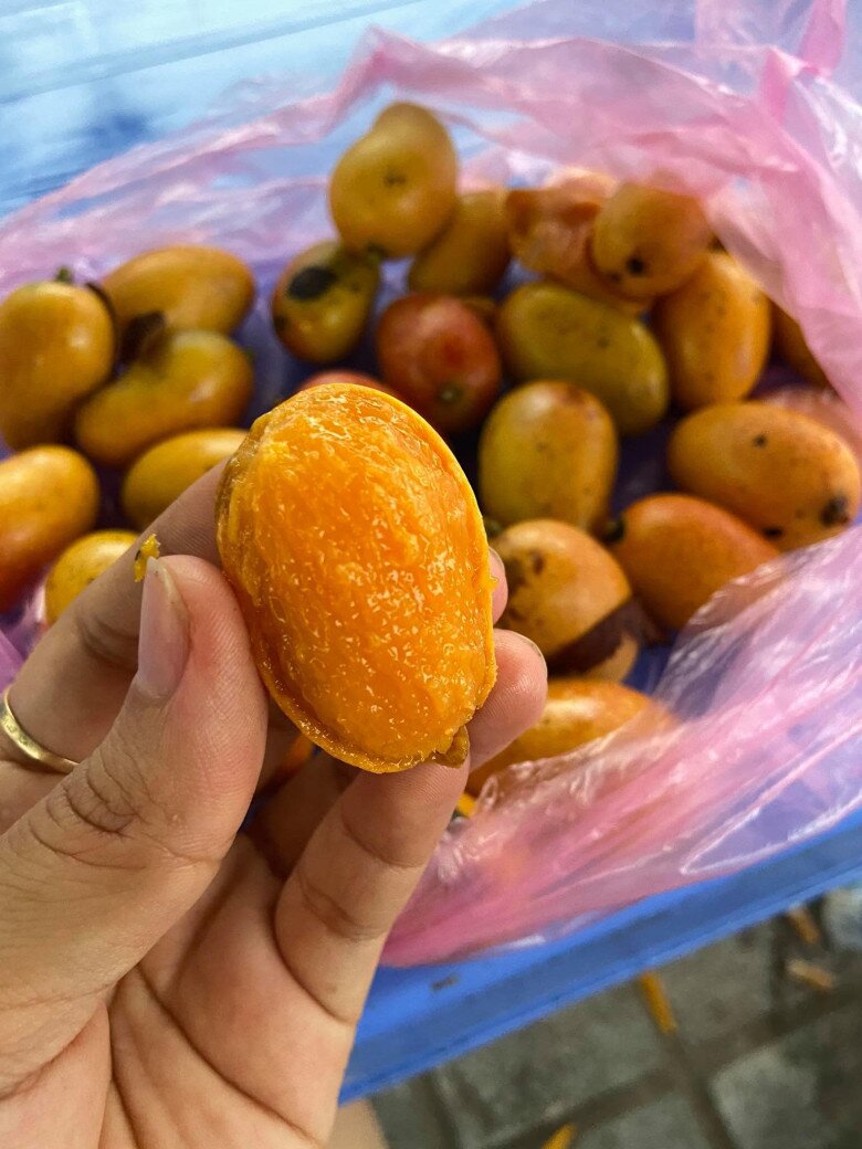 Loại quả xưa rụng thối gốc không ai nhặt nay lên ngôi thành đặc sản chị em thích mê, chỉ 75.000đ/kg mà vị gây nghiện Loại quả xưa rụng thối gốc không ai nhặt nay amp;#34;lên ngôiamp;#34; thành đặc sản chị em thích mê, chỉ 75.000đ/kg mà vị gây amp;#34;nghiệnamp;#34; - 4