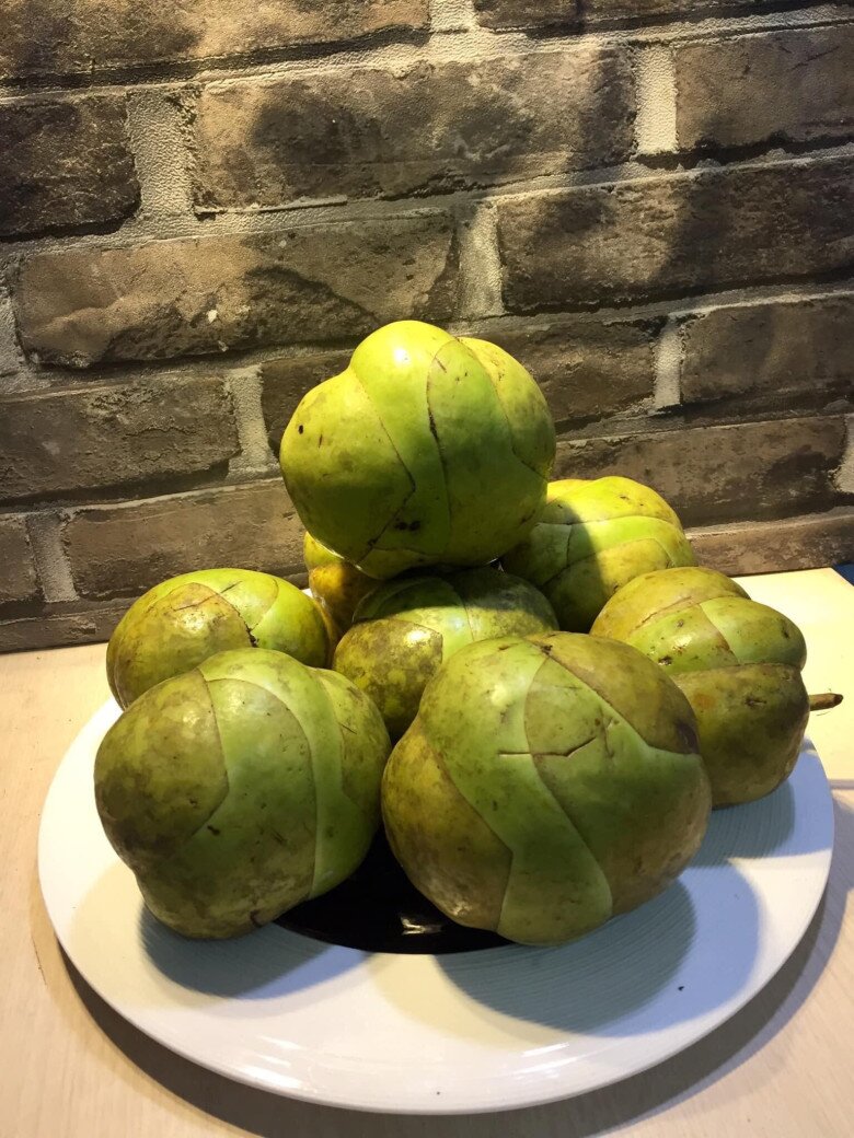 Loại Quả Nhắc Tên Đã Rớt Nước Miếng, Xưa Chỉ Mọc Dại Không Ai Thèm Ăn Nay Thành Của Hiếm Phải Đặt Trước Mới Có Loại Quả Nhắc Tên Đã Amp;#34;Rớt Nước Miếngamp;#34;, Xưa Chỉ Mọc Dại Không Ai Thèm Ăn Nay Thành Của Hiếm Phải Đặt Trước Mới Có - 3