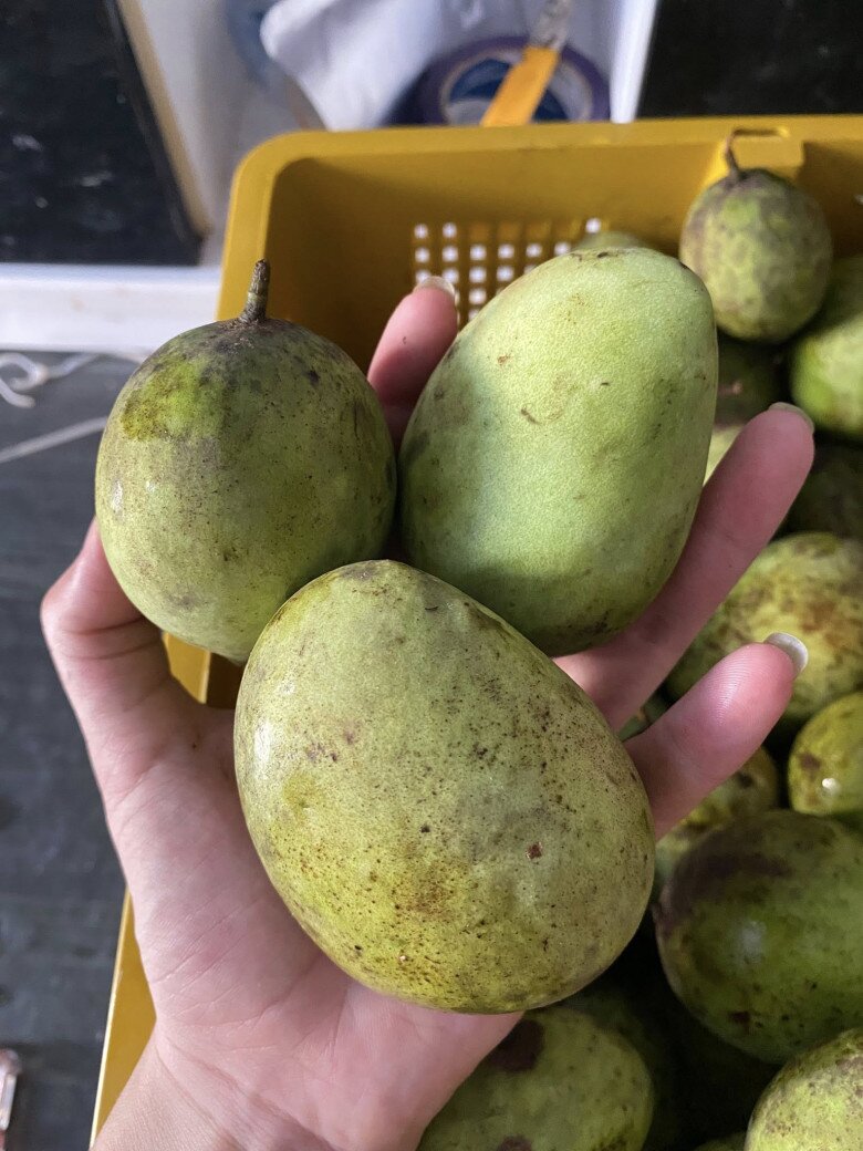 Loại quả xưa rụng thối gốc không ai nhặt nay lên ngôi thành đặc sản chị em thích mê, chỉ 75.000đ/kg mà vị gây nghiện Loại quả xưa rụng thối gốc không ai nhặt nay amp;#34;lên ngôiamp;#34; thành đặc sản chị em thích mê, chỉ 75.000đ/kg mà vị gây amp;#34;nghiệnamp;#34; - 2