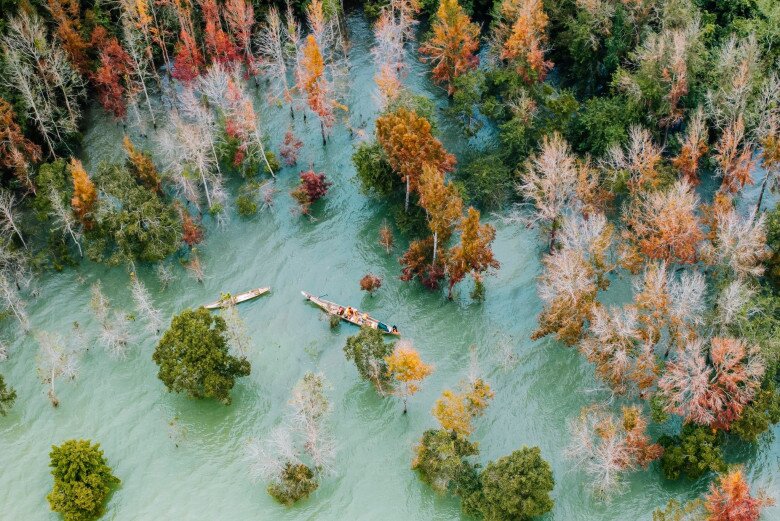 Rừng Phong Thay Lá Đẹp Ngây Người Như Trời Tây Giữa Lòng Quảng Trị, Ai Đến Cũng Ngỡ Ngàng Vì Quá Đẹp! Rừng Phong Thay Lá Đẹp Ngây Người Như Trời Tây Giữa Lòng Quảng Trị, Ai Đến Cũng Ngỡ Ngàng Vì Quá Đẹp! - 2