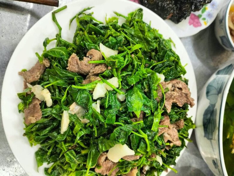 Thứ lá càng hái càng mọc, tưởng chỉ mọc dại trong rừng nay thành đặc sản xuất hiện ở nhà hàng nhờ vị ngọt bùi độc lạ - 5