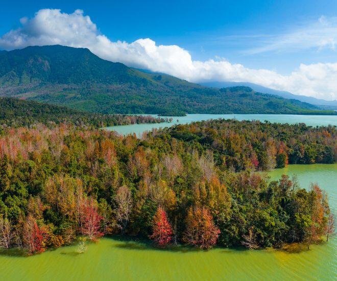 Rừng phong thay lá đẹp ngây người như trời Tây giữa lòng Quảng Trị, ai đến cũng ngỡ ngàng vì quá đẹp! - 1
