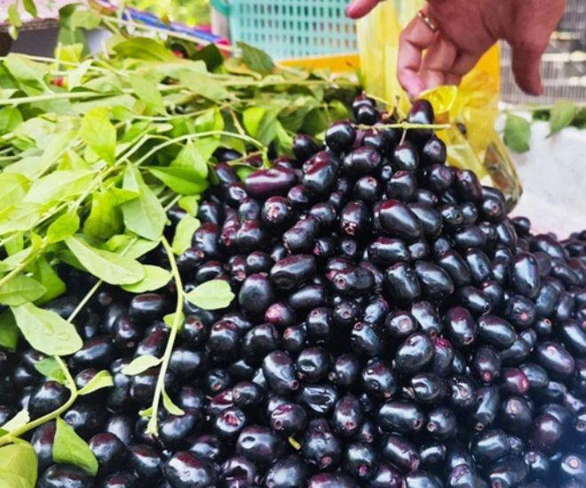 Quả mọc dại trên rừng trông đẹp như nho, ăn vào miệng đen xì mà càng ăn càng amp;#34;cuốnamp;#34;, bán đến 130.000đ/kg chị em vẫn lùng mua - 1