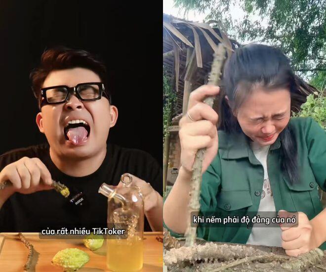 Hàng loạt TikToker thử thách ăn món amp;#34;đắng nhất Việt Namamp;#34;: Hầu hết đều nhăn mặt và nhổ bỏ ngay lập tức - 2