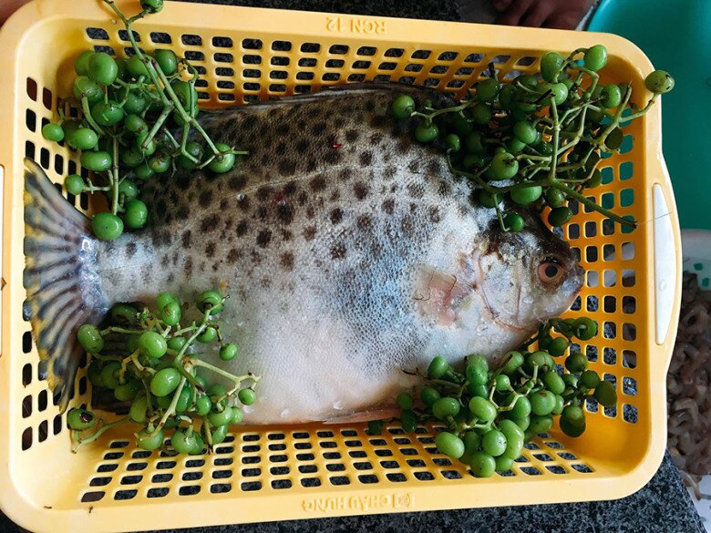 Loài cá có tên lạ xưa từng bị lãng quên, nay thành đặc sản nổi tiếng ở Cà Mau nhờ vị thơm béo khó cưỡng - 2