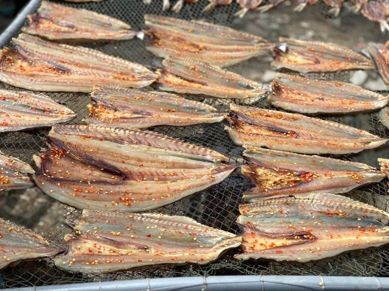 Loại Cá Nhọn Hoắt Có Cái Tên Cực Lạ Chỉ Ở Phú Quốc Mới Ngon Nhất, Gây Nghiện Bởi Vị Ngọt Đậm Tự Nhiên Hiếm Có Loại Cá Nhọn Hoắt Có Cái Tên Cực Lạ Chỉ Ở Phú Quốc Mới Ngon Nhất, Gây Nghiện Bởi Vị Ngọt Đậm Tự Nhiên Hiếm Có - 4