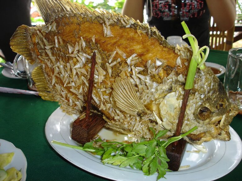 Loài cá có amp;#34;taiamp;#34; lạ là đặc sản nổi tiếng miền Tây, đem làm món nhìn đã amp;#34;nổi da gàamp;#34; nhưng lại là tuyệt đỉnh ẩm thực - 3