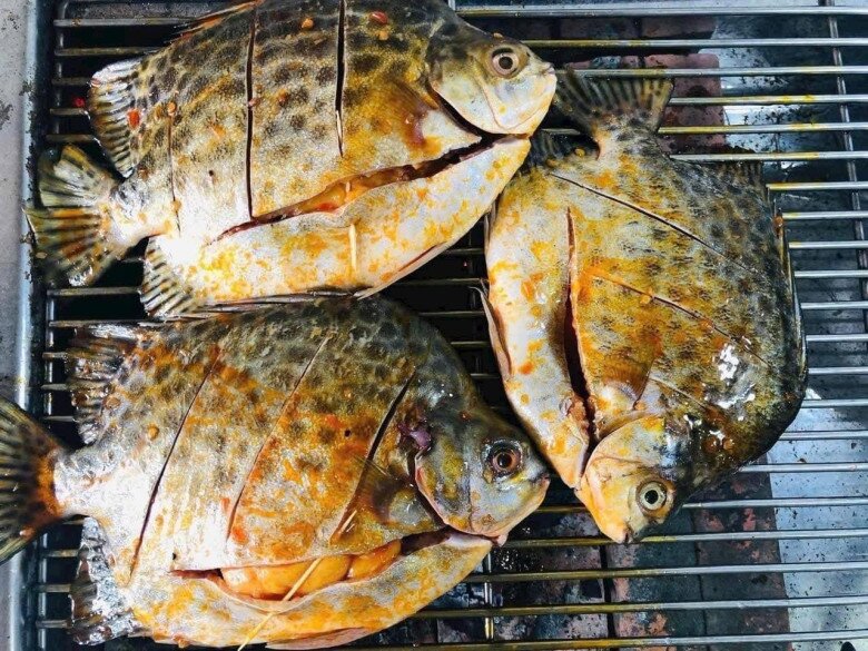 Loài cá có tên nghe đã thấy amp;#34;già nuaamp;#34; là đặc sản nổi tiếng ở Quảng Ninh, xưa amp;#34;vô danhamp;#34; nay 450.000đ/kg vẫn được săn đón - 5