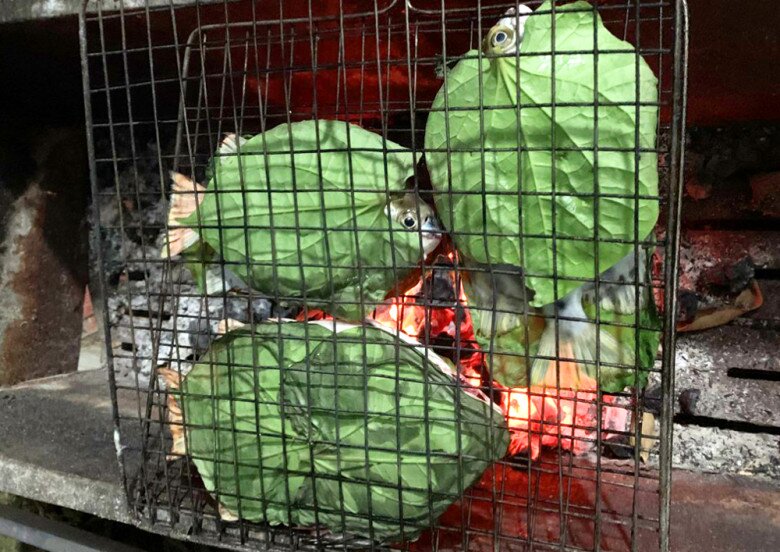 Loài cá có tên nghe đã thấy amp;#34;già nuaamp;#34; là đặc sản nổi tiếng ở Quảng Ninh, xưa amp;#34;vô danhamp;#34; nay 450.000đ/kg vẫn được săn đón - 4