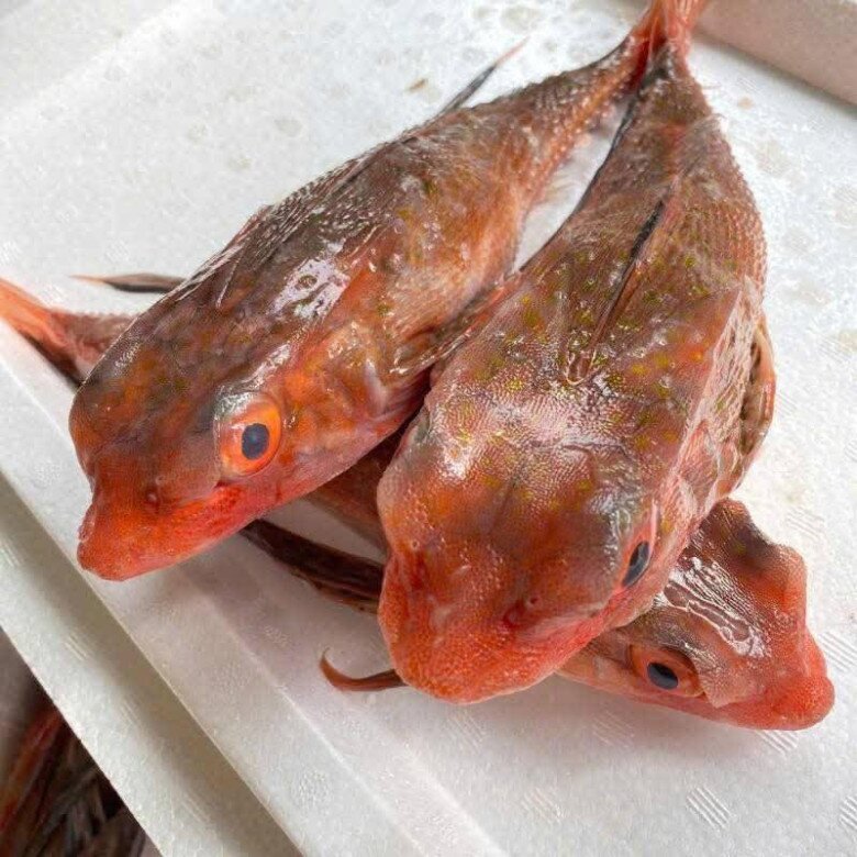 Loài Cá Có Tên Như Loài Bò Sát Mình Toàn Xương Xưa Chỉ Cho Gia Súc Ăn, Nay Nướng Lên Thơm Nức Mũi Thành Đặc Sản Tuyệt Đỉnh Loài Cá Có Tên Như Loài Bò Sát Mình Toàn Xương Xưa Chỉ Cho Gia Súc Ăn, Nay Nướng Lên Thơm Nức Mũi Thành Đặc Sản Amp;#34;Tuyệt Đỉnhamp;#34; - 2