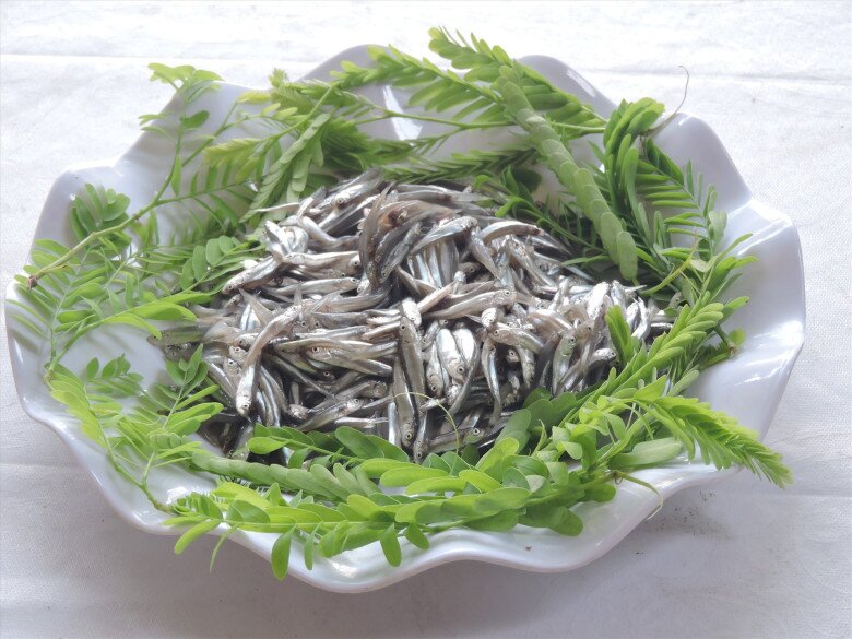 Loài cá amp;#34;nhà nghèoamp;#34; là hương vị tuổi thơ của người miền Trung, đem kho chấm rau luộc được ví với amp;#34;ân huệ của đất trờiamp;#34; - 3