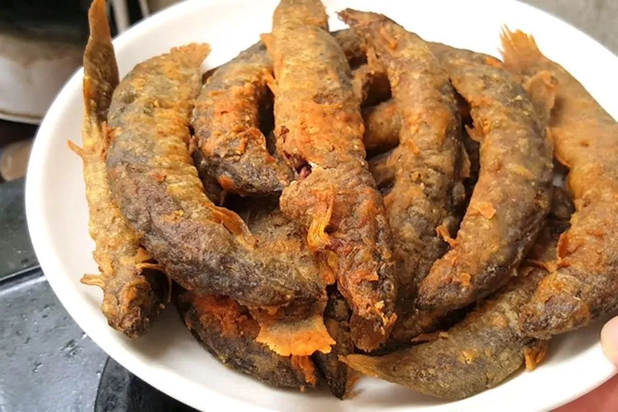 Loài Cá Nhìn Rợn Người Lại Là Siêu Phẩm Ở Quảng Nam, Thịt Ngon Ngọt Tưởng Nêm Thêm Mì Chính Loài Cá Nhìn Rợn Người Lại Là Amp;#34;Siêu Phẩmamp;#34; Ở Quảng Nam, Thịt Ngon Ngọt Tưởng Nêm Thêm Mì Chính - 4