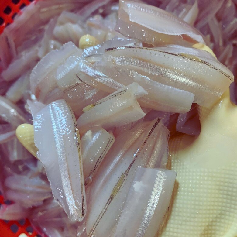 Loài Cá Trong Suốt Có Tên Một Loại Hoa, Xưa Ít Ai Để Ý Giờ Đem Làm Gỏi Lại Thành Đặc Sản Ngon Xuất Sắc Loài Cá Trong Suốt Có Tên Một Loại Hoa, Xưa Ít Ai Để Ý Giờ Đem Làm Gỏi Lại Thành Đặc Sản Ngon Xuất Sắc - 3