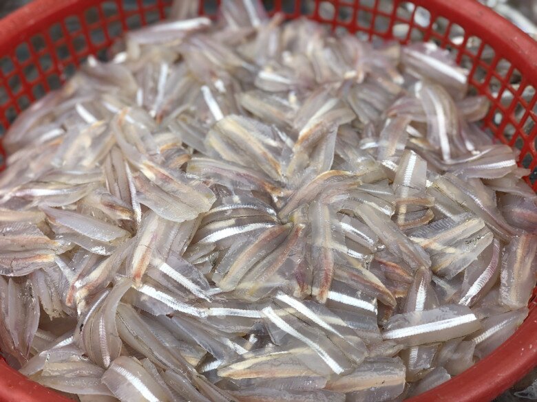 Loài Cá Trong Suốt Có Tên Một Loại Hoa, Xưa Ít Ai Để Ý Giờ Đem Làm Gỏi Lại Thành Đặc Sản Ngon Xuất Sắc Loài Cá Trong Suốt Có Tên Một Loại Hoa, Xưa Ít Ai Để Ý Giờ Đem Làm Gỏi Lại Thành Đặc Sản Ngon Xuất Sắc - 2