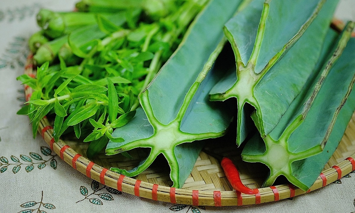Loại cây tưởng không ăn được đem nấu canh thành đặc sản chỉ có ở Quảng Trị, xưa dành cho amp;#34;nhà nghèoamp;#34; nay ai cũng thích mê - 2
