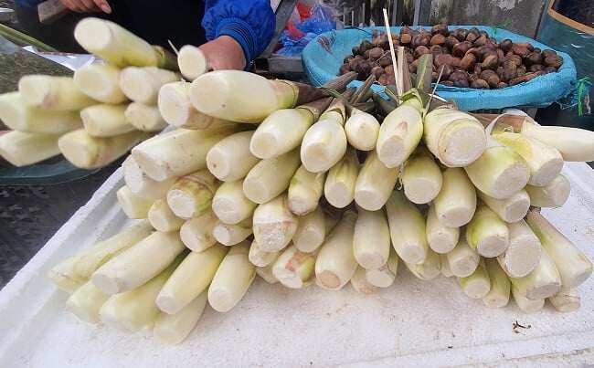 Loại Củ Mọc Từ Dưới Bùn Xưa Chỉ Người Ninh Bình Ăn Nay Thành Đặc Sản Chị Em Săn Lùng, Mỗi Năm Chỉ Xuất Hiện Vài Tuần Là Hết Loại Củ Mọc Từ Dưới Bùn Xưa Chỉ Người Ninh Bình Ăn Nay Thành Đặc Sản Chị Em Amp;#34;Săn Lùngamp;#34;, Mỗi Năm Chỉ Xuất Hiện Vài Tuần Là Hết - 2