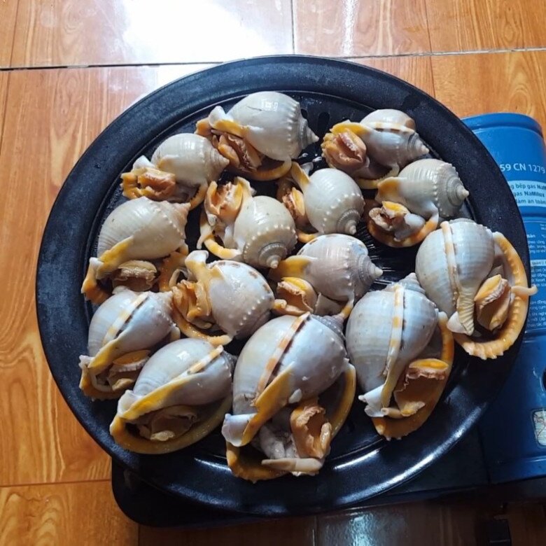 Loài Ốc Tên Nghe Đã Thấy Bốc Mùi Xưa Chẳng Ai Thèm Ăn, Nay Thành Đặc Sản Không Thể Thiếu Ở Nhà Hàng, Giá Đến 270.000Đ/Kg Loài Ốc Tên Nghe Đã Thấy Amp;#34;Bốc Mùiamp;#34; Xưa Chẳng Ai Thèm Ăn, Nay Thành Đặc Sản Không Thể Thiếu Ở Nhà Hàng, Giá Đến 270.000Đ/Kg - 4