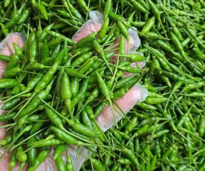 Loại quả bé tí xưa mọc dại trên rừng chẳng ai hái, nay amp;#34;lên đờiamp;#34; được chị em săn lùng dù giá đến 1 triệu/kg - 1