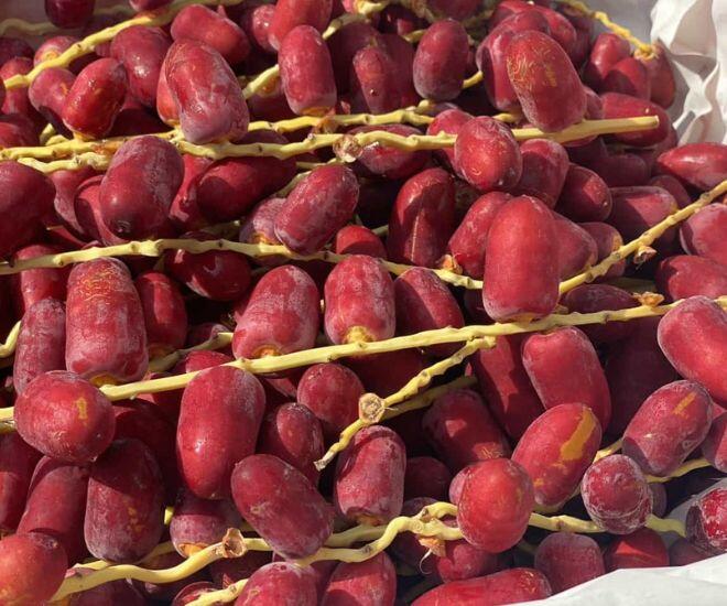 Loại quả căng mọng amp;#34;đắt đỏamp;#34; nhất Việt Nam, nhìn vừa quen vừa lạ giá tận 700.000 đồng/kg vẫn amp;#34;cháy hàngamp;#34; - 1