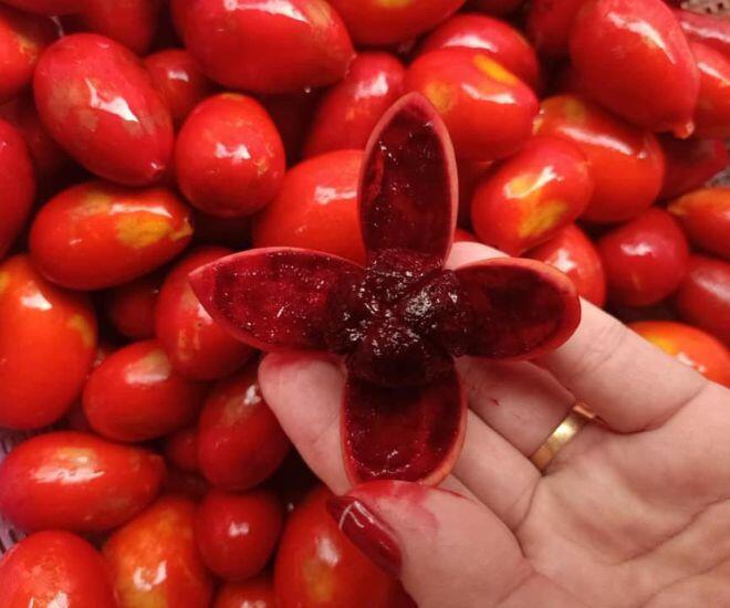 Loại Quả Có Tên Nghe Rợn Người Là Đặc Sản Chỉ Quảng Ninh Mới Có, Giá 150.000Đ/Kg Vẫn Amp;#34;Cháy Hàngamp;#34; Vì Siêu Hiếm - 1