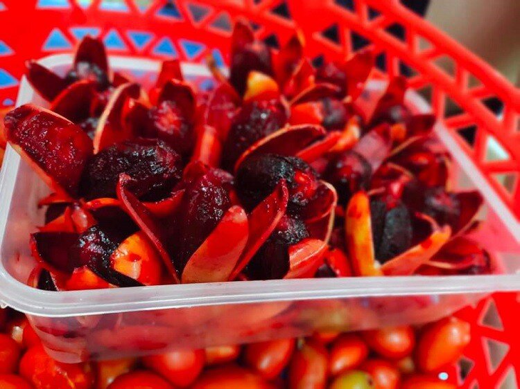 Loại Quả Có Tên Nghe Rợn Người Là Đặc Sản Chỉ Quảng Ninh Mới Có, Giá 150.000Đ/Kg Vẫn Cháy Hàng Vì Siêu Hiếm Loại Quả Có Tên Nghe Rợn Người Là Đặc Sản Chỉ Quảng Ninh Mới Có, Giá 150.000Đ/Kg Vẫn Amp;#34;Cháy Hàngamp;#34; Vì Siêu Hiếm - 2