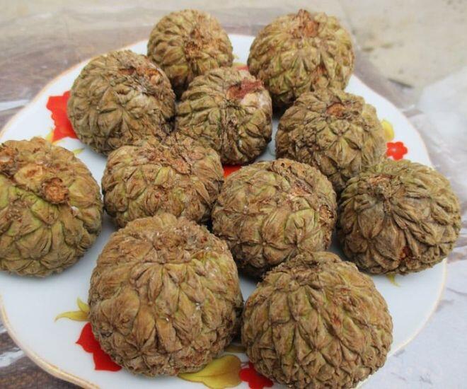 Loại Quả Phải Dùng Búa Để Ăn, Xưa Đầy Không Ai Nhặt Nay Chưa Rụng Đã Có Người Săn, Hàng Không Có Mà Bán Loại Quả Phải Dùng Búa Để Ăn, Xưa Đầy Không Ai Nhặt Nay Chưa Rụng Đã Có Người Amp;#34;Sănamp;#34;, Hàng Không Có Mà Bán - 2