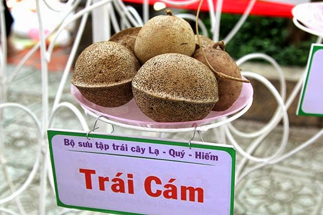 Loại Quả Thơm Mát Ngọt Lành Người Miền Tây Si Mê Nhưng Hiếm Ai Biết Tên, Xưa Nhặt Là Có Nay Thành Của Quý Loại Quả Thơm Mát Ngọt Lành Người Miền Tây Si Mê Nhưng Hiếm Ai Biết Tên, Xưa Nhặt Là Có Nay Thành Amp;#34;Của Quýamp;#34; - 2