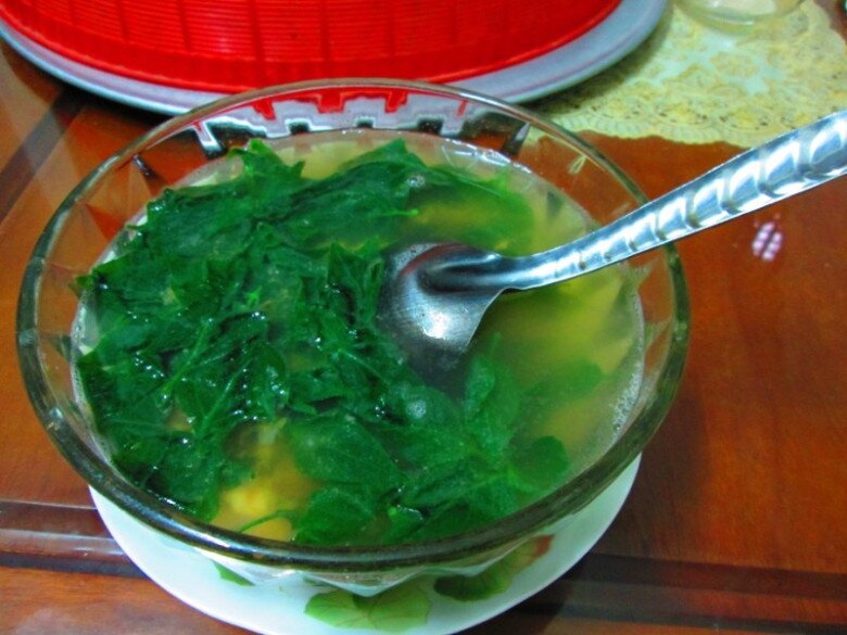 Loại rau xưa mọc làm hàng rào hóa ra lại siêu bổ dưỡng, là một vị thuốc cực tốt được nhiều người lùng mua - 4