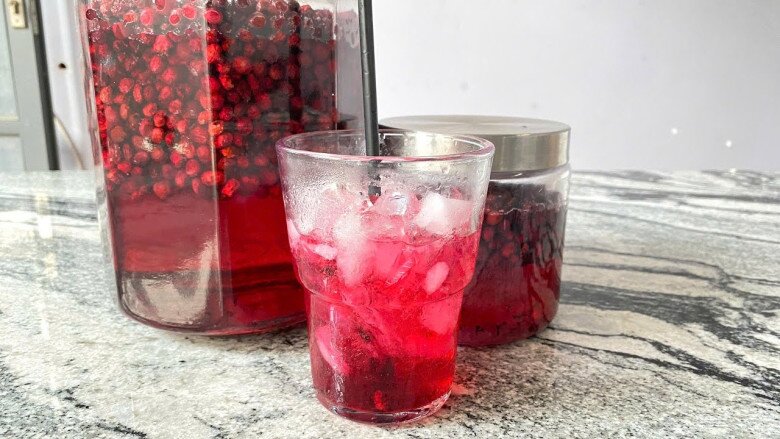 Loại Quả Xưa Rụng Đầy Trên Rừng Chẳng Ai Hái, Nay Đem Ngâm Rượu Thành Thức Uống Ngon Tuyệt Vời Lại Tốt Cho Sức Khỏe Loại Quả Xưa Rụng Đầy Trên Rừng Chẳng Ai Hái, Nay Đem Ngâm Rượu Thành Thức Uống Ngon Tuyệt Vời Lại Tốt Cho Sức Khỏe - 4