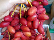 Lifestyle - Loại quả căng mọng "đắt đỏ" nhất Việt Nam, nhìn vừa quen vừa lạ giá tận 700.000 đồng/kg vẫn "cháy hàng"