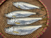 Lifestyle - Loài cá được xem là "tứ quý ngư" ở Việt Nam, xương nhiều nhưng thịt ngọt đậm khó cưỡng, dân thành phố ưa chuộng