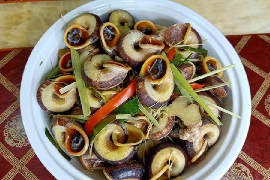 Loài Ốc Lạ Chỉ Ăn Cây Thuốc Trên Rừng, Có Mùi Thơm Như Thuốc Bắc, Giá Tới 400.000Đ/Kg Vẫn Ùn Ùn Người Mua Vì Bổ Dưỡng Loài Ốc Lạ Chỉ Ăn Cây Thuốc Trên Rừng, Có Mùi Thơm Như Thuốc Bắc, Giá Tới 400.000Đ/Kg Vẫn Ùn Ùn Người Mua Vì Bổ Dưỡng - 7