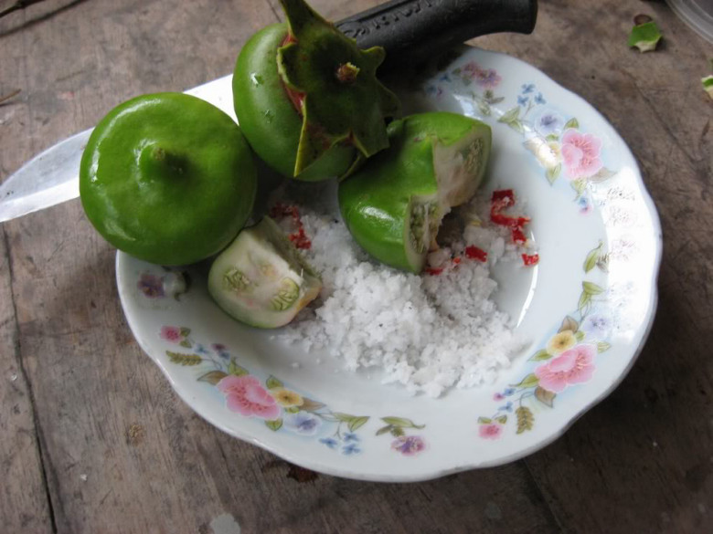 Loại Quả Nghe Tên Đã Thấy Nghèo Khó Là Đặc Sản Chỉ Người Miền Tây Biết, Đem Nấu Món Gì Cũng Ngon Tuyệt Đỉnh Loại Quả Nghe Tên Đã Thấy Amp;#34;Nghèo Khóamp;#34; Là Đặc Sản Chỉ Người Miền Tây Biết, Đem Nấu Món Gì Cũng Ngon Tuyệt Đỉnh - 3