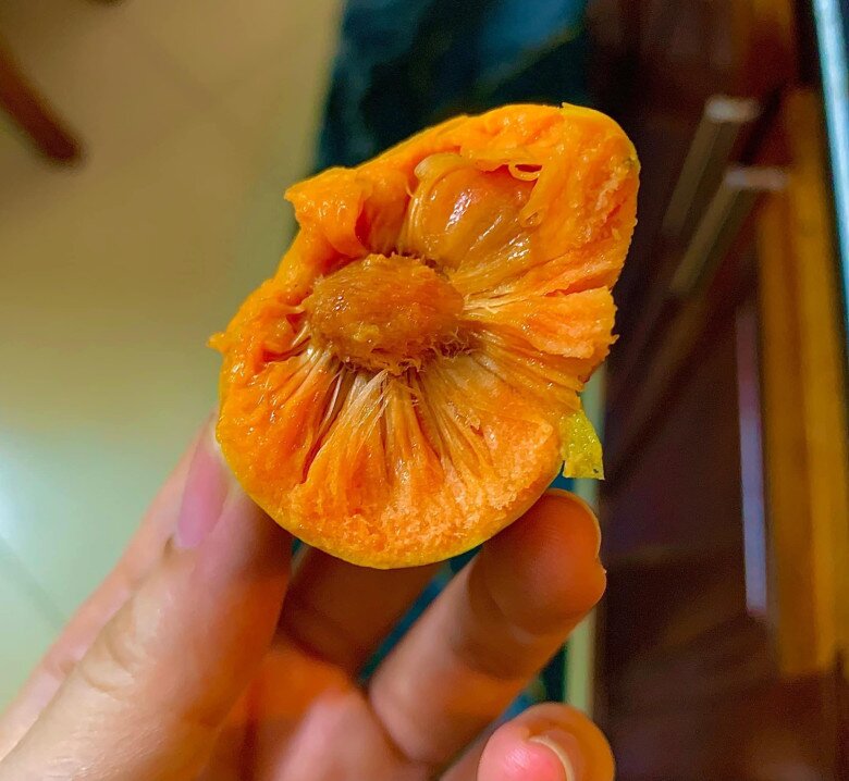 Thứ Quả Có Ruột Màu Hồng Cực Xinh Xưa Đầy Ở Quê Nay Thành Đặc Sản Thành Phố, Giá Ngang Trái Cây Nhập Khẩu Thứ Quả Có Ruột Màu Hồng Cực Xinh Xưa Đầy Ở Quê Nay Thành Đặc Sản Thành Phố, Giá Ngang Trái Cây Nhập Khẩu - 3