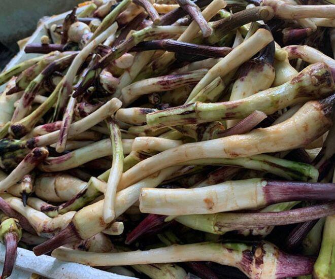 Thứ xưa nhà nghèo ăn phát chán còn vứt cho lợn nay thành đặc sản được đóng túi bán khắp nơi, thử một lần là amp;#34;nghiệnamp;#34; - 1