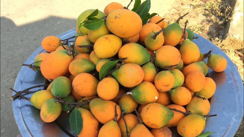 Loại quả xưa rụng thối gốc không ai nhặt, giá rẻ như cho nay thành đặc sản thành phố, 150.000 đồng/kg vẫn amp;#34;cháy hàngamp;#34; - 5