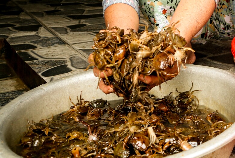 Món Ăn Cứu Đói Chỉ Có Ở Nghệ An Từng Thất Truyền, Nay Thành Đặc Sản Làm Ngày Đêm Vẫn Không Kịp Để Bán Món Ăn Amp;#34;Cứu Đóiamp;#34; Chỉ Có Ở Nghệ An Từng Thất Truyền, Nay Thành Đặc Sản Làm Ngày Đêm Vẫn Không Kịp Để Bán - 2