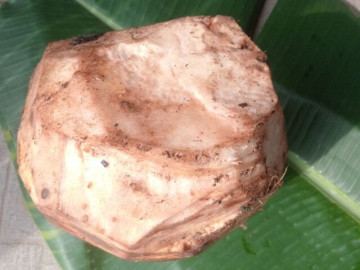 Món ăn miền Trung xưa "cứu đói" dân nghèo nay là đặc sản ai cũng thương nhớ, được đóng hộp bán khắp nơi vẫn "cháy hàng"