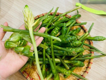 Thứ tưởng măng tây đang khiến chị em Thủ đô "lùng sục": Mỗi năm chỉ có 1 mùa, người chê "như bò nhai rơm" người lại cực nghiện