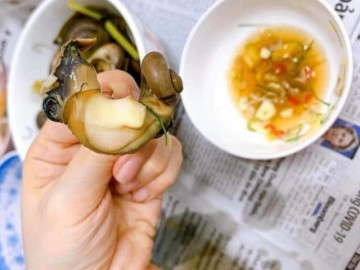 Loài ốc lạ chỉ ăn cây thuốc trên rừng, có mùi thơm như thuốc bắc, giá tới 400.000đ/kg vẫn ùn ùn người mua vì bổ dưỡng