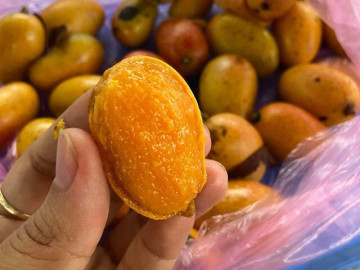 Loại quả xưa rụng thối gốc không ai nhặt nay lên ngôi thành đặc sản chị em thích mê, chỉ 75.000đ/kg mà vị gây nghiện