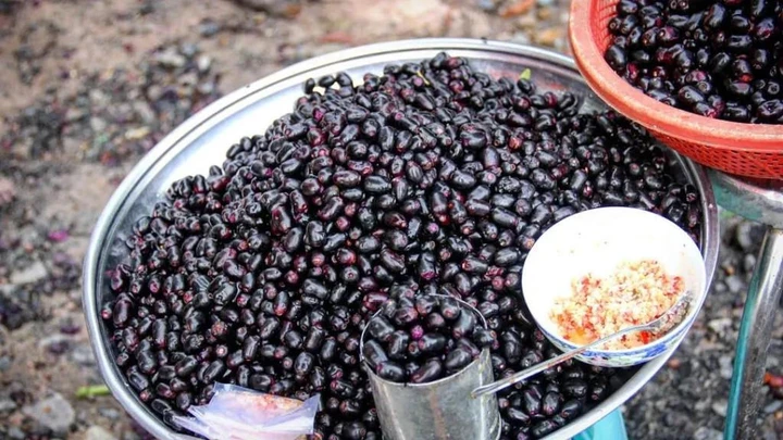 Quả Mọc Dại Trên Rừng Trông Đẹp Như Nho, Ăn Vào Miệng Đen Xì Mà Càng Ăn Càng Cuốn, Bán Đến 130.000Đ/Kg Chị Em Vẫn Lùng Mua Quả Mọc Dại Trên Rừng Trông Đẹp Như Nho, Ăn Vào Miệng Đen Xì Mà Càng Ăn Càng Amp;#34;Cuốnamp;#34;, Bán Đến 130.000Đ/Kg Chị Em Vẫn Lùng Mua - 5