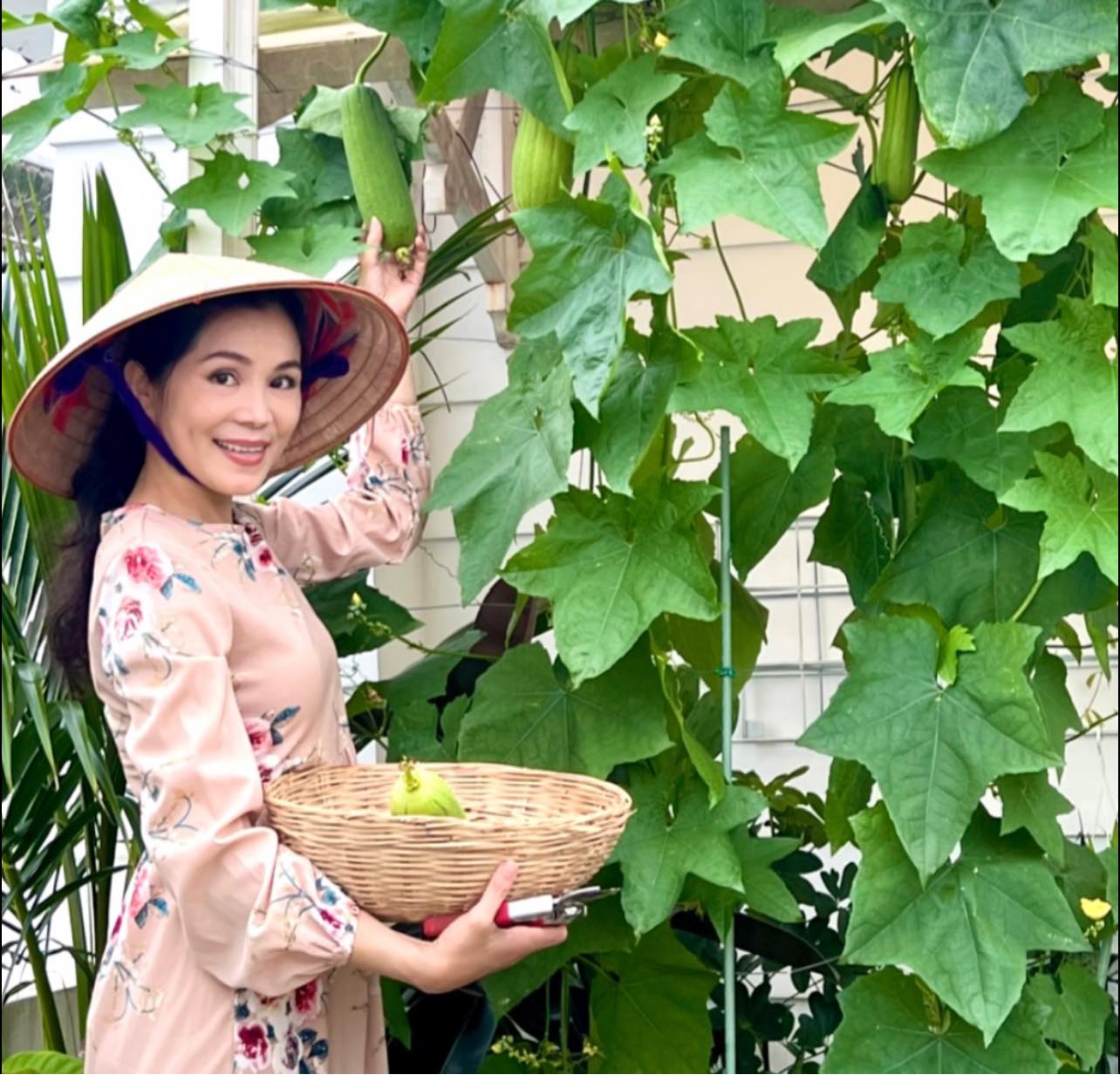 Vườn hồng amp;#34;bạc tỷamp;#34; của vợ chồng MC Quyền Linh khiến nhiều người cả đời mơ ước - 17