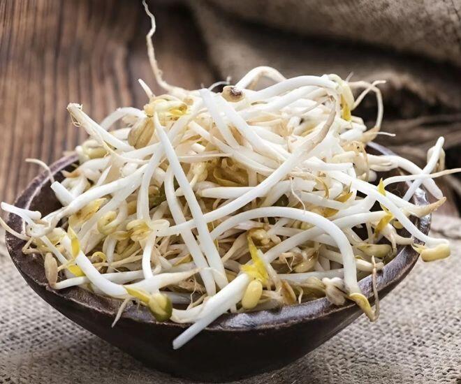 Trong 100g giá có chứa 5,3g protein thực vật cùng với nhiều vitamin và nhóm khoáng chất khác, mang lại nguồn năng lượng lành mạnh và nhiều lợi ích sức khoẻ (Ảnh minh hoạ)