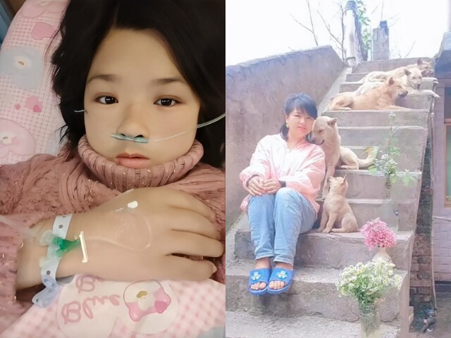 Hình ảnh nữ blogger bên đàn chó nhỏ khiến netizen đau lòng mỗi khi nhìn lại.