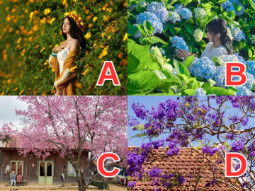 Trắc nghiệm: Chọn 1 mùa hoa yêu thích, đáp án sẽ cho biết tính cách em bé sắp sinh của bạn