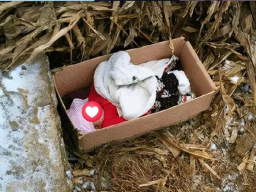 Vừa nhìn thấy đứa con mới sinh, bố mẹ lập tức từ chối, 22 năm sau cả nhà hối hận